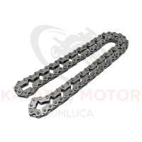 SCT150 EKSANTRİK ZİNCİRİ