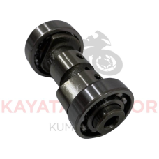 CRYPTON R EKSANTRİK MİLİ(1998/2004)