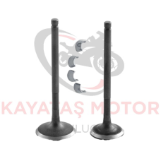 CRYPTON TANSİYONER