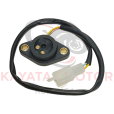 CRYPTON VİTES MÜŞÜRÜ