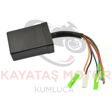 CRYPTON CDİ BEYİN (1998-2004)
