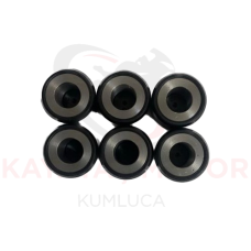 PCX 125(2021-2024) VARYATÖR 6 LI BURÇ 17.3GR 20X15