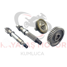 CYGNUS L ŞANZUMAN DİŞLİ SETİ