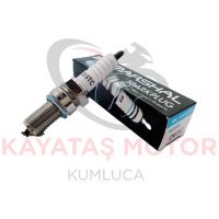 CG BUJİ D8TC