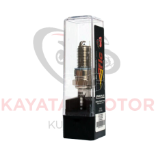 CG BUJİ DR8EIX IRIDIUM MARSHALL(FLC)