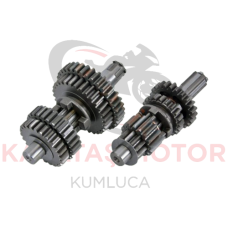CG 100 ŞANZUMAN DİŞLİ SETİ[RMZ-KARACA)