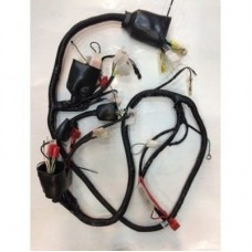 WİNDY ELEKTRİK TESİATI ORJ