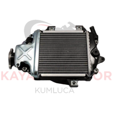 PCX 125-150(2011-2017) RADYATÖR OEM
